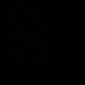 Meet your Posher, Allie